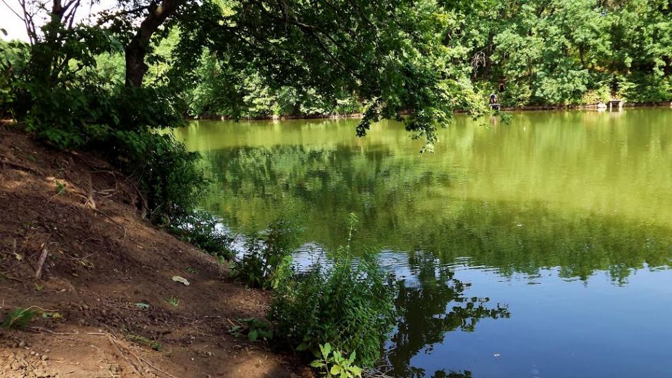 Маринівка з panoramio.com - Мариновка