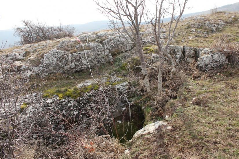Пчолине з panoramio.com - Pcholyne