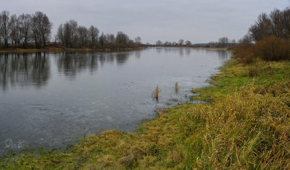 Надинівка з panoramio.com - Надинівка