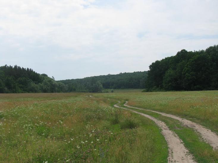Кардашівка з panoramio.com - Кардашівка
