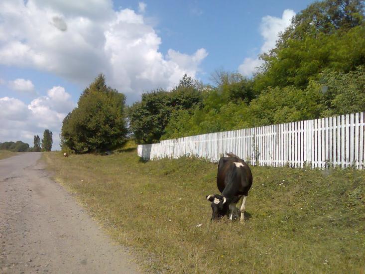 Баглаї з panoramio.com - Баглаи