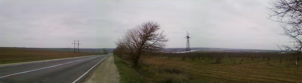 Дар'ївка з panoramio.com - Дарьевка