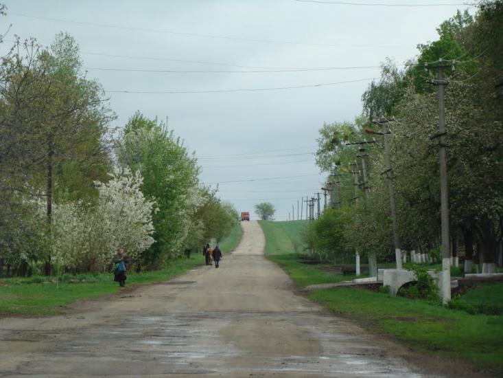 Телепине з panoramio.com - Телепине