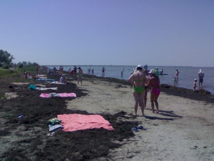 Волошине з panoramio.com - Волошине