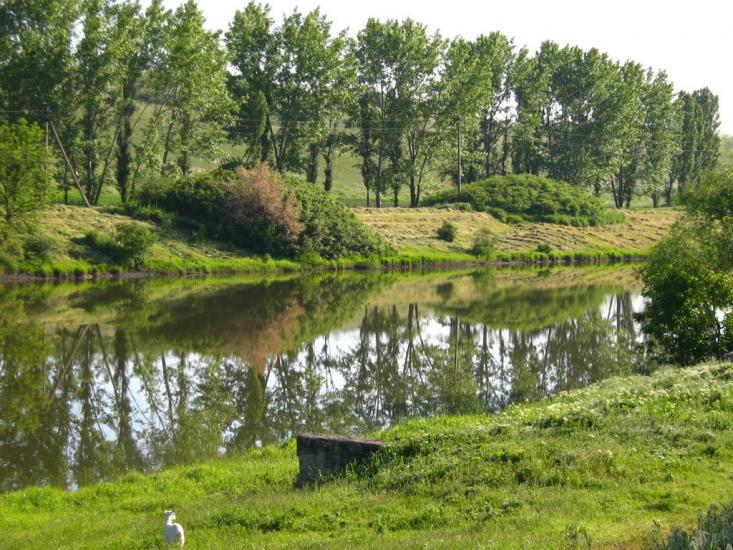Калінінське з panoramio.com - Калінінське