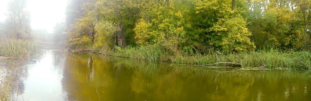 Торське з panoramio.com - Торское