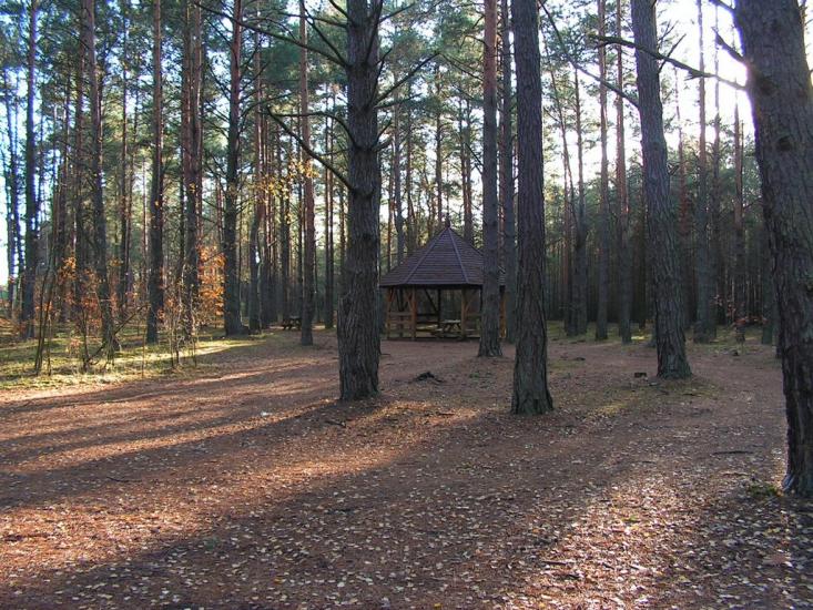 Кошари з panoramio.com - Кошари