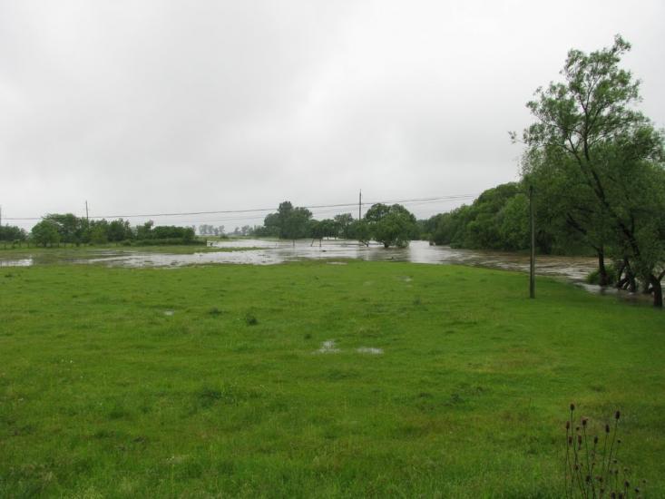 Іршава з panoramio.com - Irshava