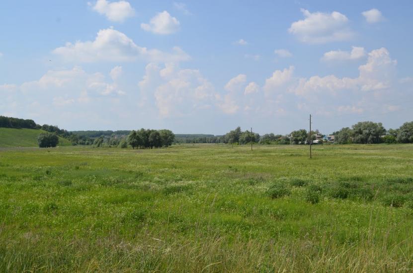 Дергачі з panoramio.com - Дергачи