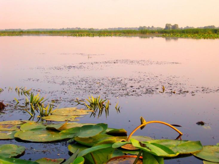Кам'яні Потоки з panoramio.com - Kamyani Potoky