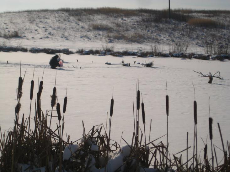 Підгірне з panoramio.com - Підгірне