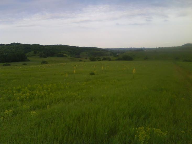 Кулібаба з panoramio.com - Кулібаба