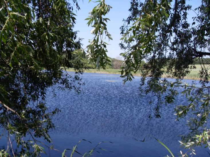 Латишівка з panoramio.com - Латишівка