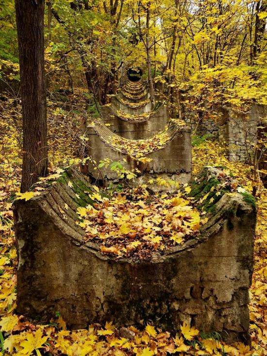 Буки з panoramio.com - Буки