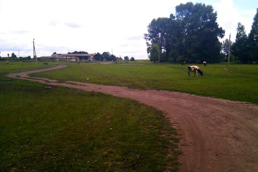 Червоний Степ з panoramio.com - Червоний Степ