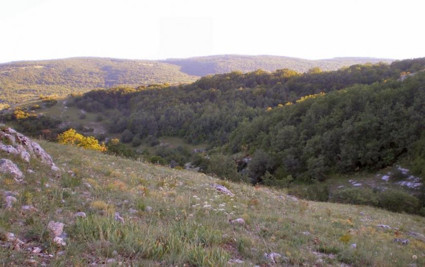 Пчолине з panoramio.com - Pcholyne