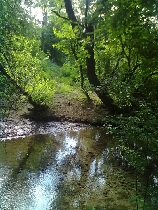 Білокриниця з panoramio.com - Білокриниця