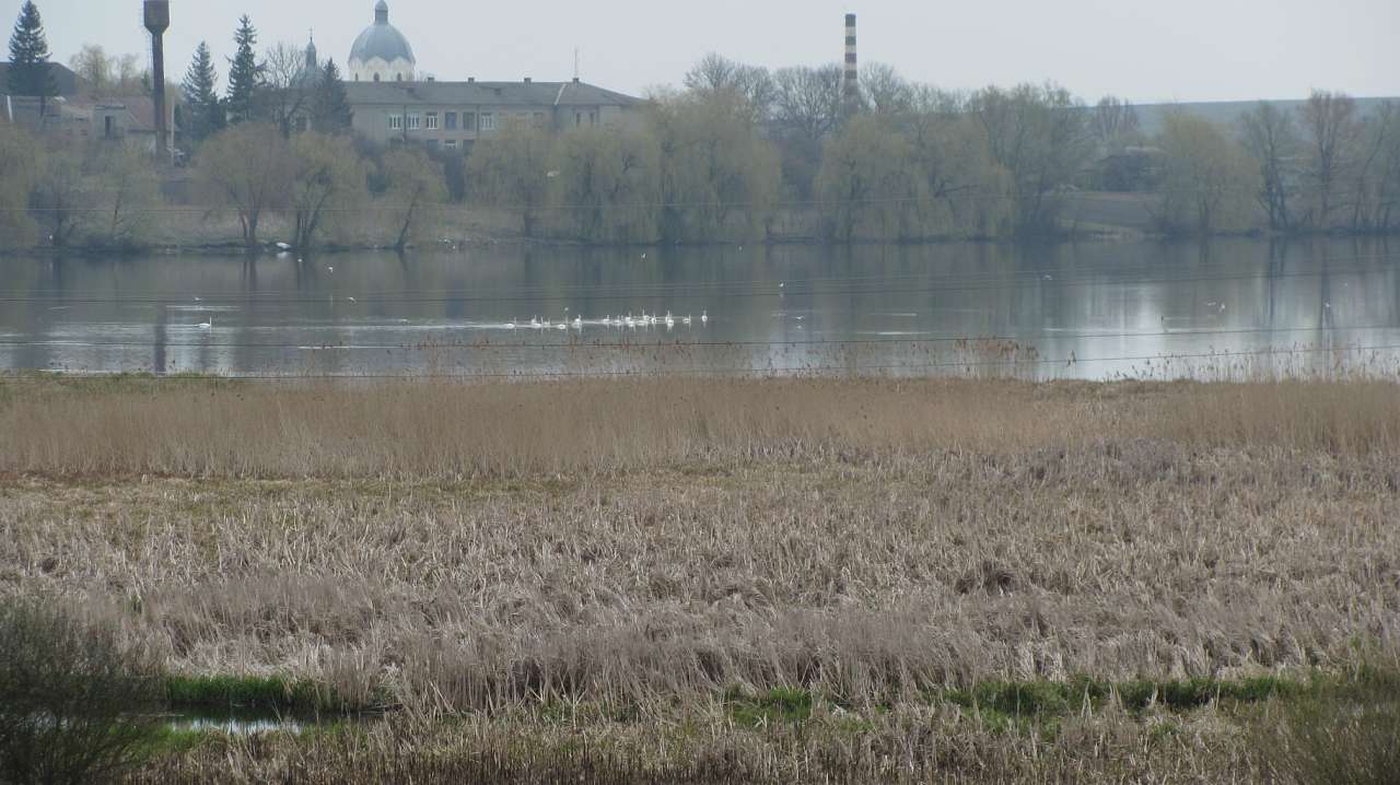 природа - Глібів