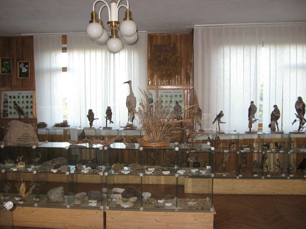 МiЙ ГРИМАЙЛIВ - Гримайлів