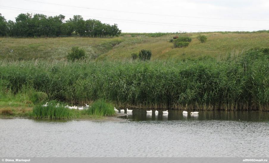 Анадоль з panoramio.com - Anadol