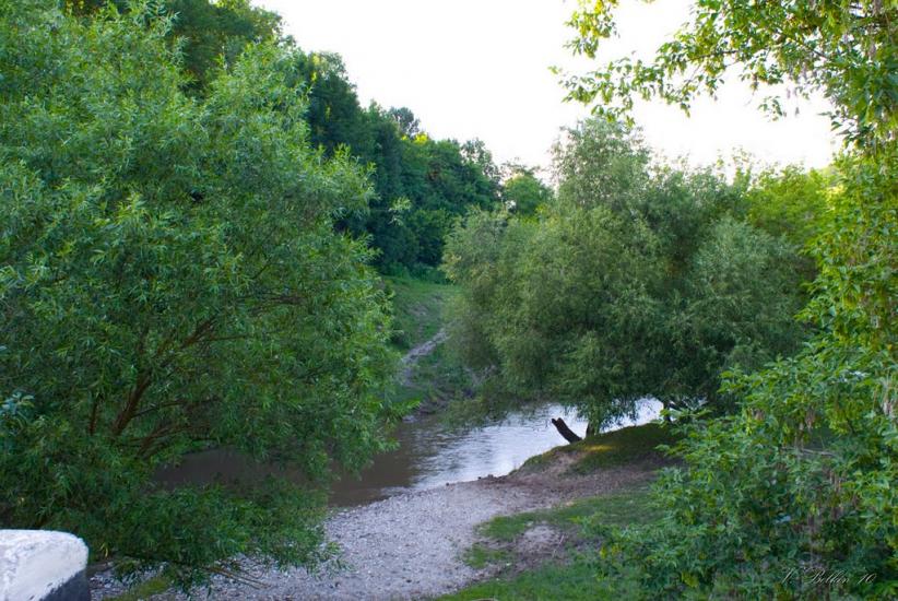Голозубинці з panoramio.com - Голозубинцы