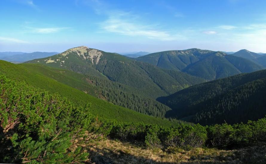 Осмолода з panoramio.com (ч.2) - Осмолода