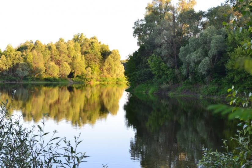 Шестовиця з panoramio.com - Шестовица