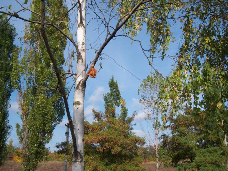 Олег з panoramio.com - Олег