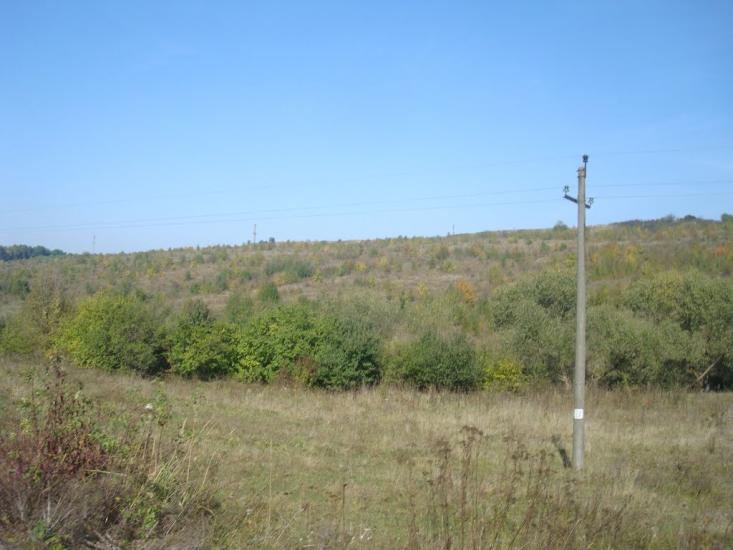 Кутківці з panoramio.com - Кутківці