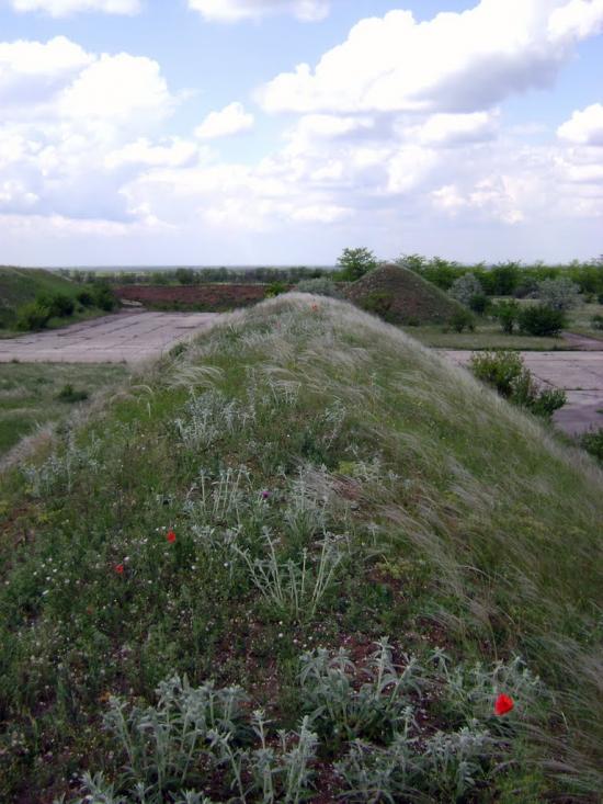 Софіївка з panoramio.com - Софіївка