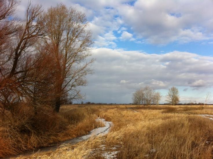 Хотянівка з panoramio.com - Хотяновка
