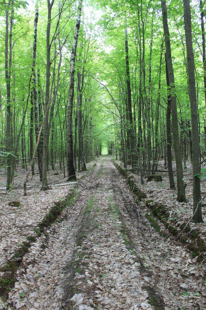 Городець з panoramio.com - Городец