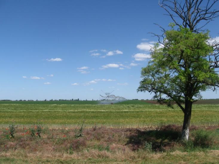 Рисове з panoramio.com - Рисове