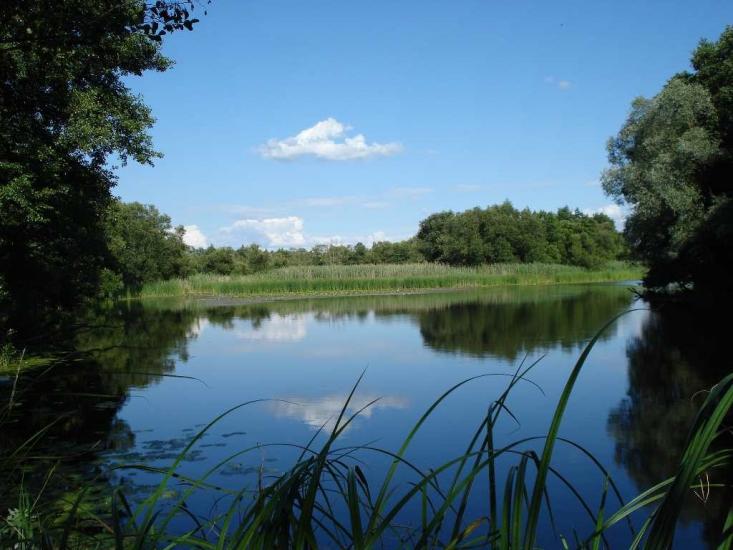 Охтирка з panoramio.com - Ахтырка