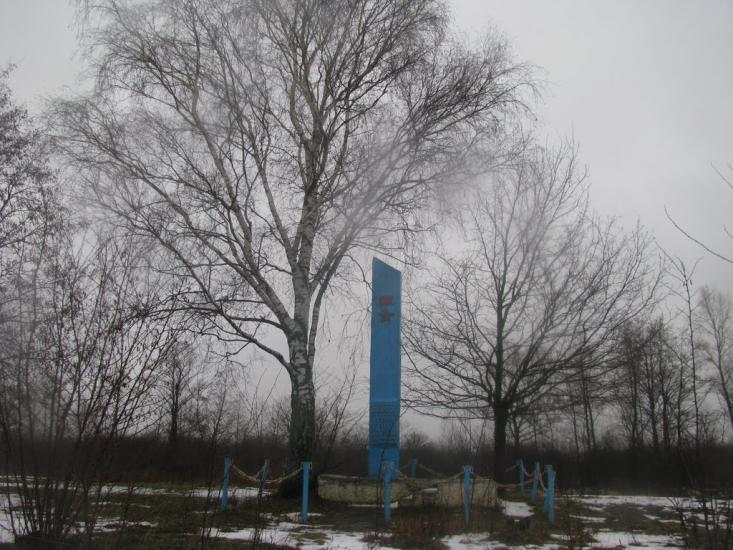 Миси з panoramio.com - Mysy