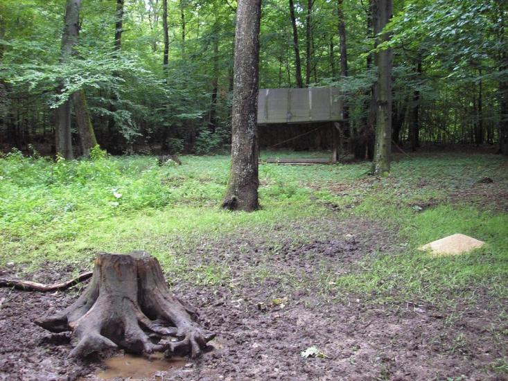 Гута з panoramio.com - Гута