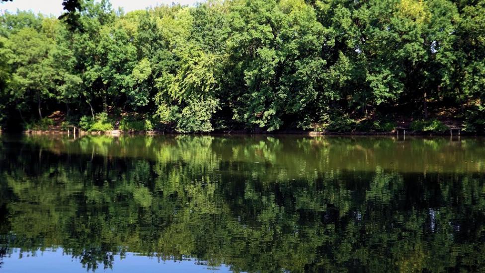 Маринівка з panoramio.com - Мариновка