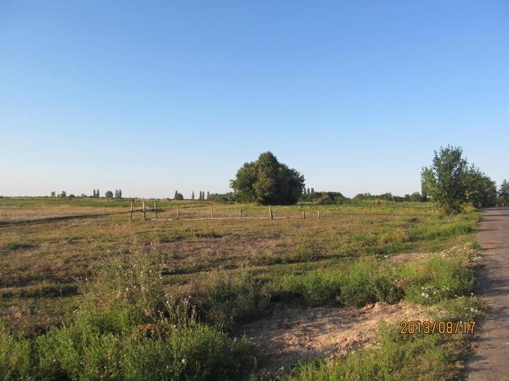 Пронозівка з panoramio.com - Пронозівка