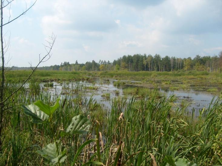 Кошари з panoramio.com - Кошари