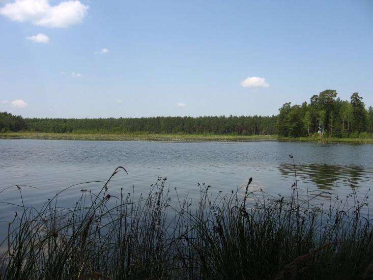 Варварівка з panoramio.com - Варварівка