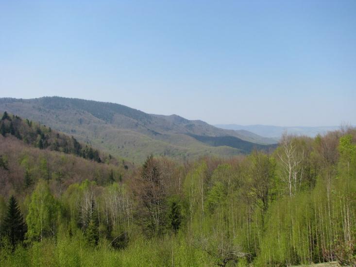 Яблунів з panoramio.com - Яблунів