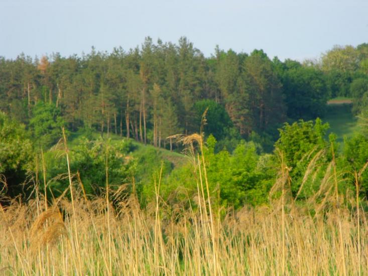 Чернин з panoramio.com - Chernyn