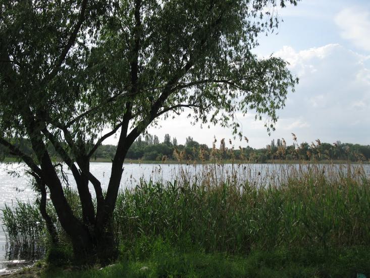 Інгулець з panoramio.com - Інгулець