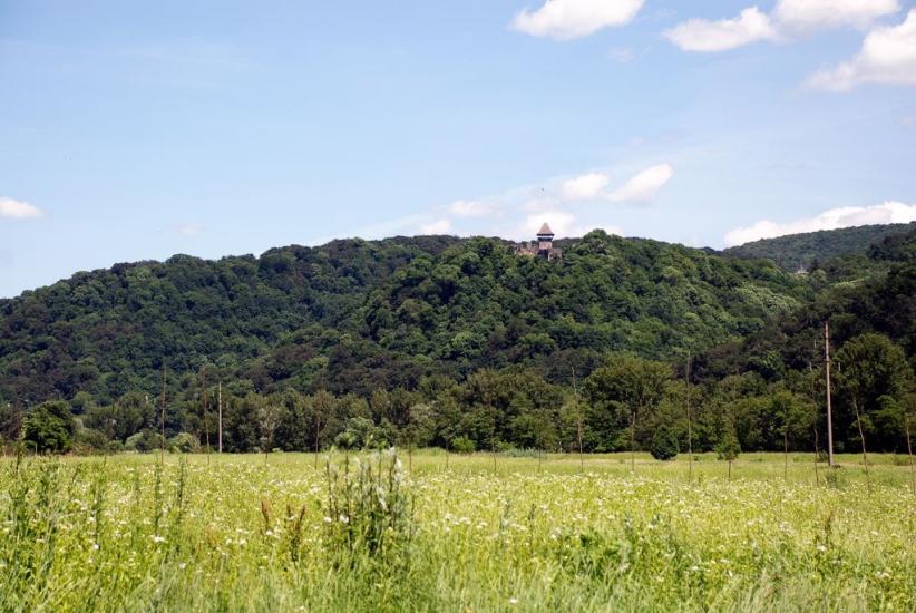 Кам'яниця з panoramio.com - Каменица