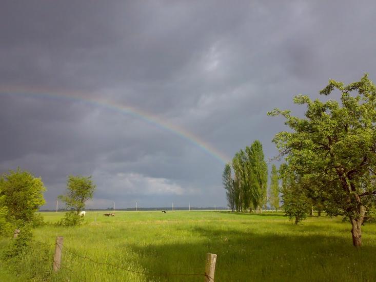 Чайківка з panoramio.com - Чайківка