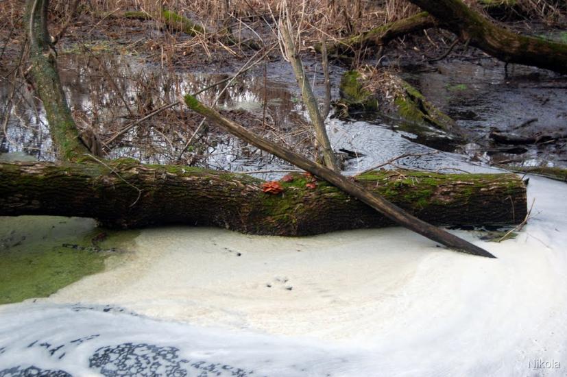 Капітанове з panoramio.com - Капітанове