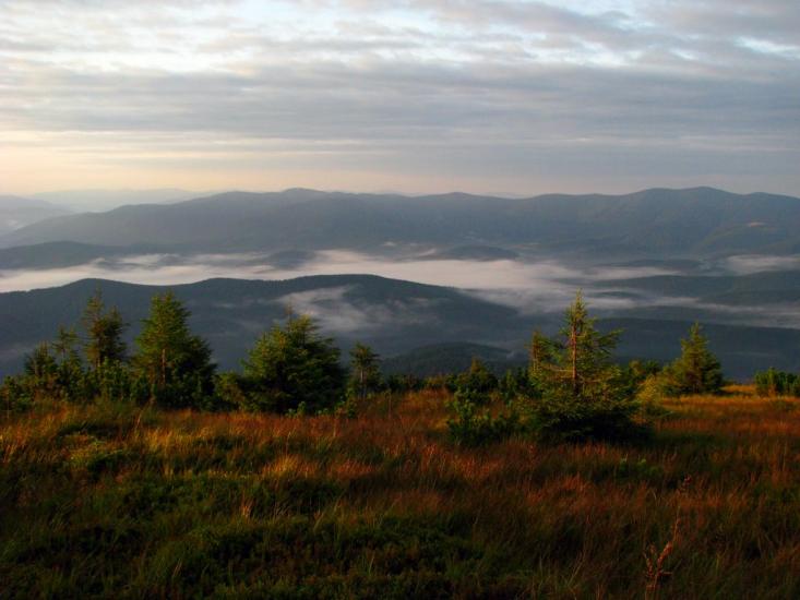 Осмолода з panoramio.com (ч.2) - Осмолода