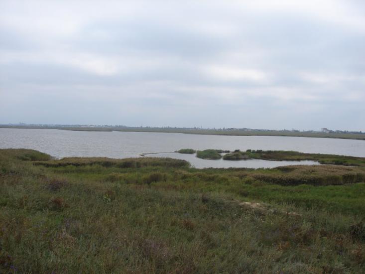 Біленьке з panoramio.com - Біленьке