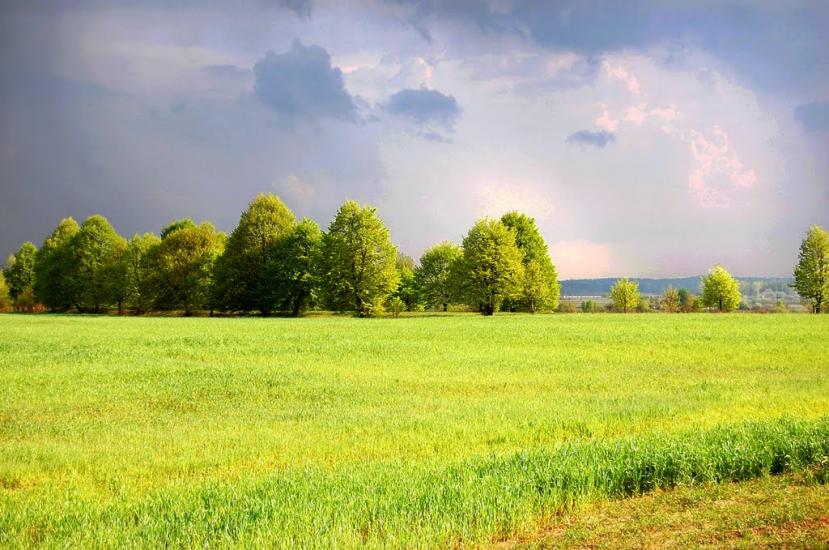 Чудля з panoramio.com - Чудля