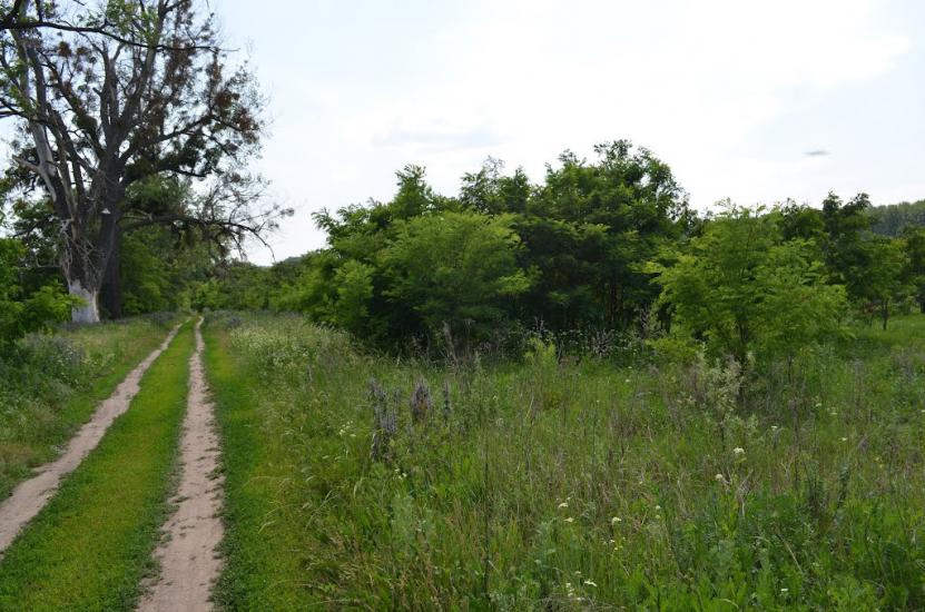 Дергачі з panoramio.com - Дергачи